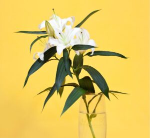 Beach Girl Landscape Leisure