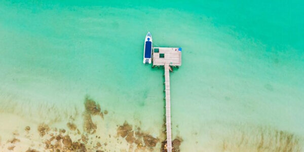 Aerial view camera drone flight