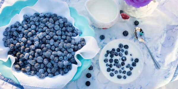 Blueberries dessert breakfast food