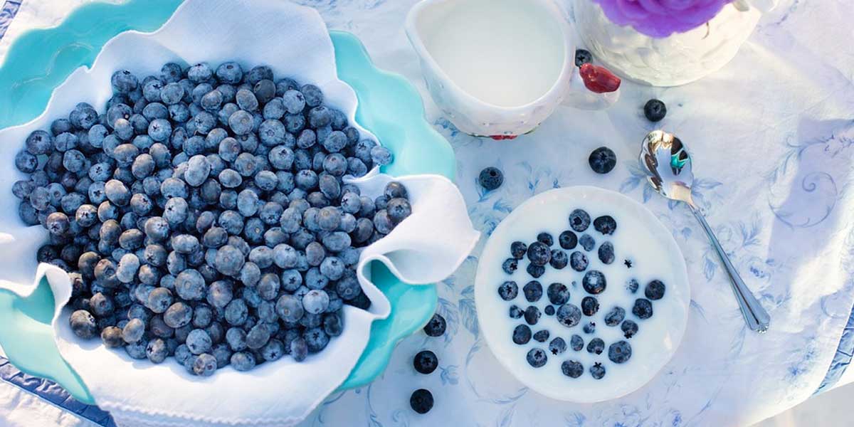Blueberries dessert breakfast food