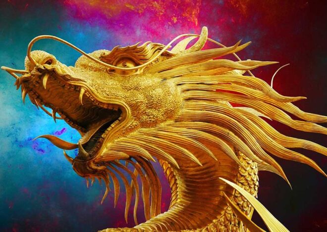 Capturing the Magic of Flower Photography