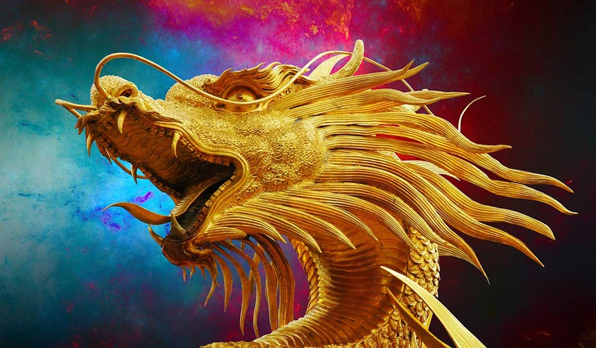 Capturing the Magic of Flower Photography