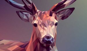 A Visual Journey with Swans