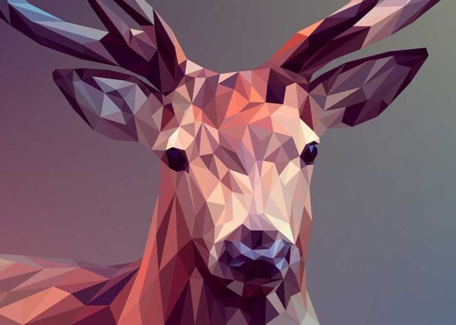 A Visual Journey with Swans