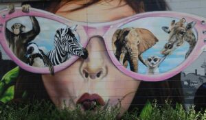 The Amazing Abilities of Ducks and Swans