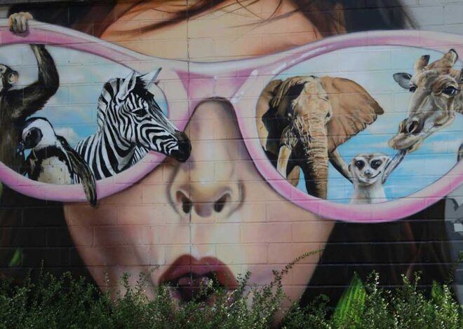 The Amazing Abilities of Ducks and Swans