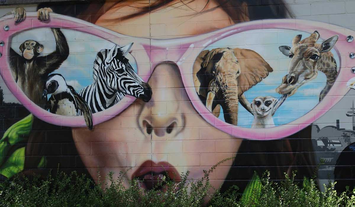 The Amazing Abilities of Ducks and Swans