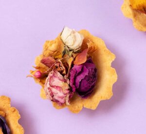 Traveller Rocky Cliffs Barren