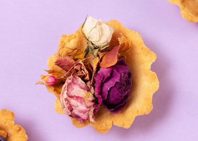 Traveller Rocky Cliffs Barren