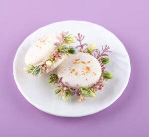 Travel Cupcake On Podcast Room View