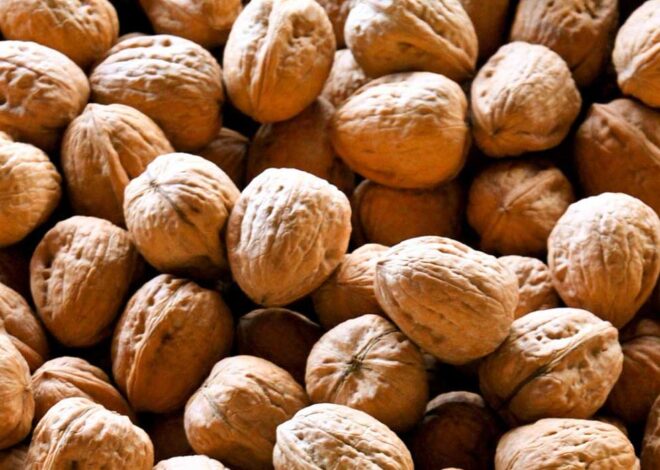 The Benefits of Adding Walnuts to Your Diet