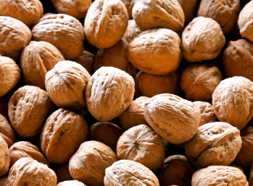 The Benefits of Adding Walnuts to Your Diet