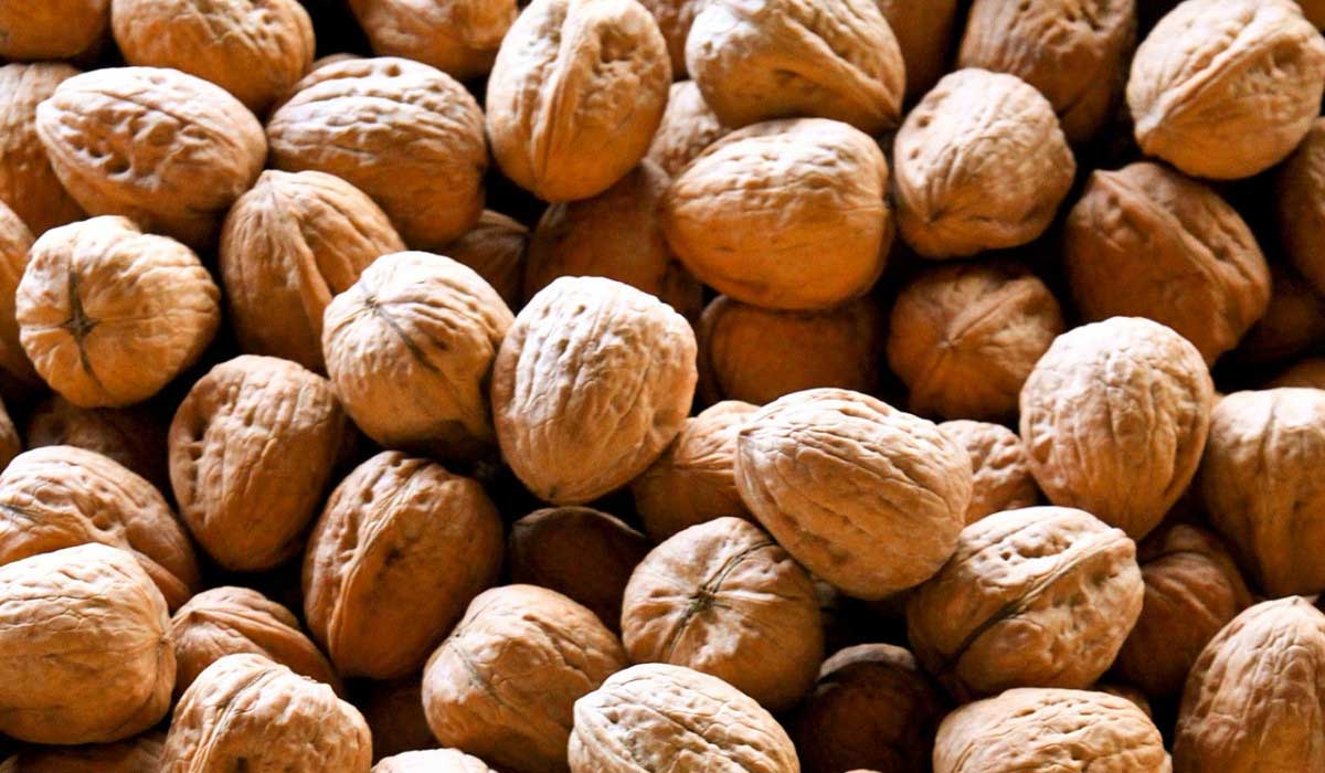 The Benefits of Adding Walnuts to Your Diet