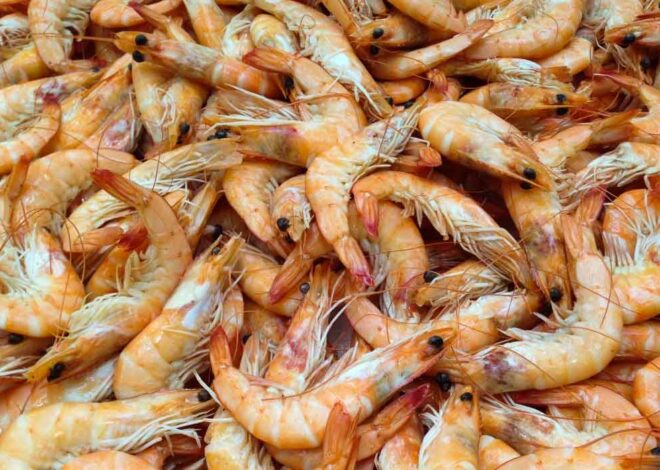 A Guide to Cook the Perfect Crab