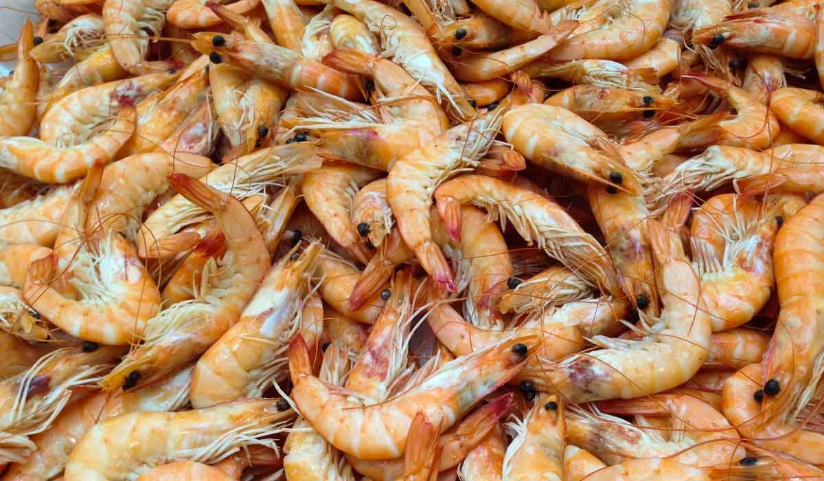 A Guide to Cook the Perfect Crab