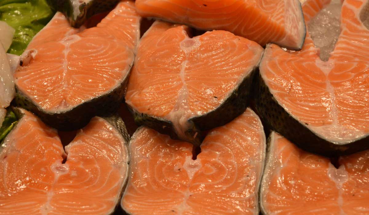 Cooking with News Express Pro