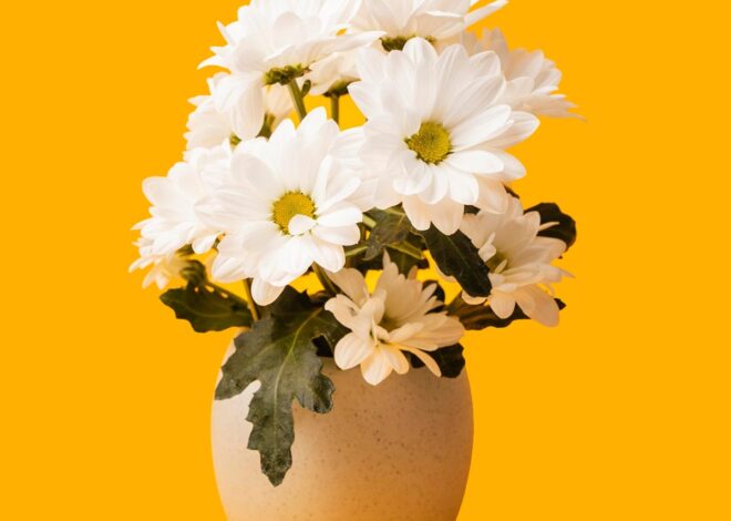 Clouds Concrete Field Grass