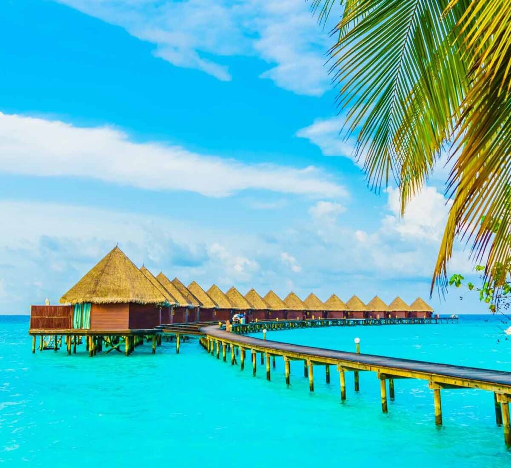 Master The Art Of Being Morning Person