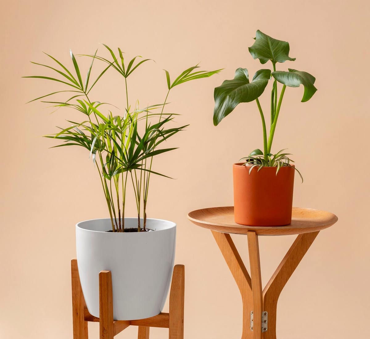 A Peaceful Voice Room For Words